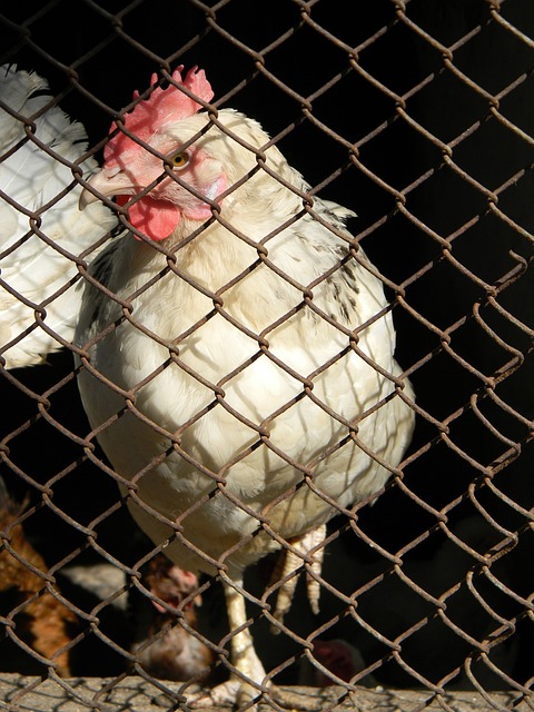 战巴萨独造3球，福布斯：梦想成真，很高兴能打出这样的表现